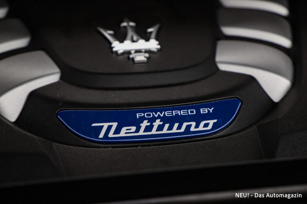 Powered by Nettuno