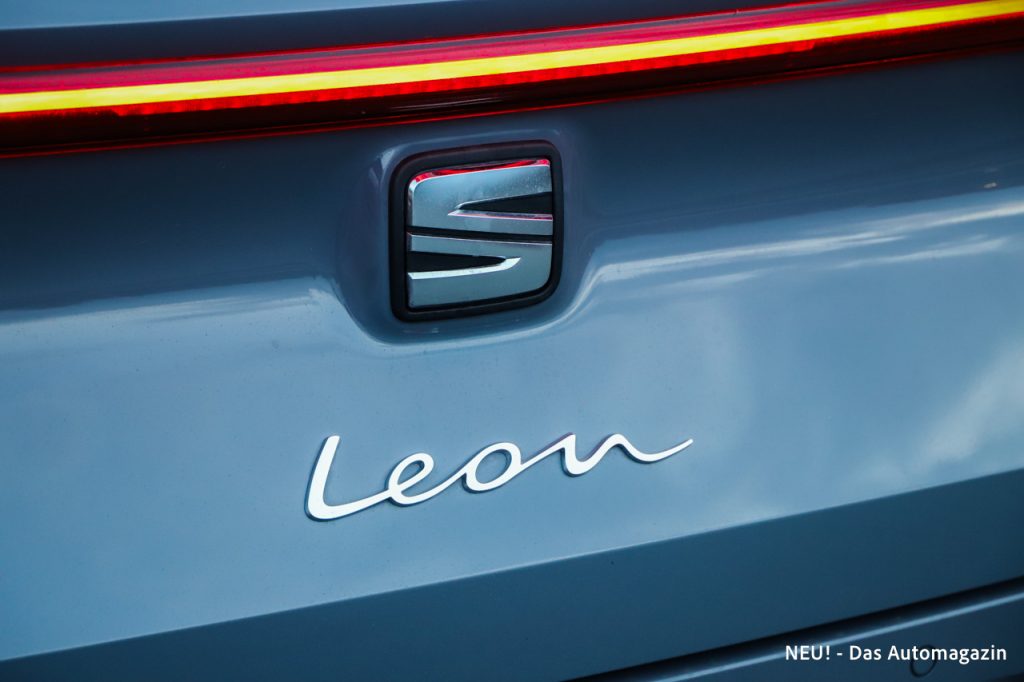 Leon Schriftzug Schreibschrift