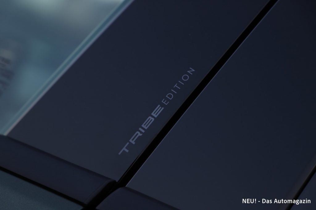 Tribe Edition Schriftzug