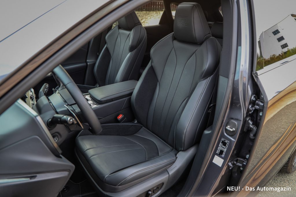 Lexus RX 500h Sitz