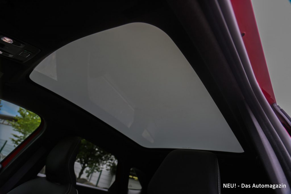 Mitsubishi Grandis Hybrid Panorama-Glasdach getönt