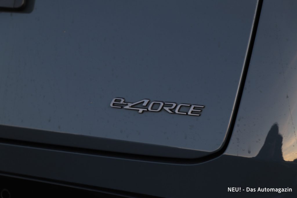 e4ORCE Badge